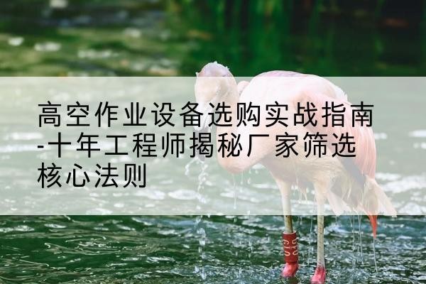 三元剪叉式升降机厂家-高空作业设备选购实战指南-十年工程师揭秘厂家筛选核心法则