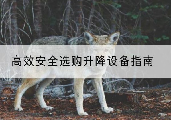 三元升降货梯厂家推荐-*安全选购升降设备指南