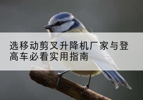 三元电动升降机厂家-选移动剪叉升降机厂家与登高车必看实用指南