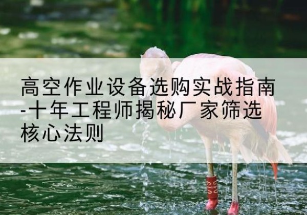 三元剪叉式升降机厂家-高空作业设备选购实战指南-十年工程师揭秘厂家筛选核心法则